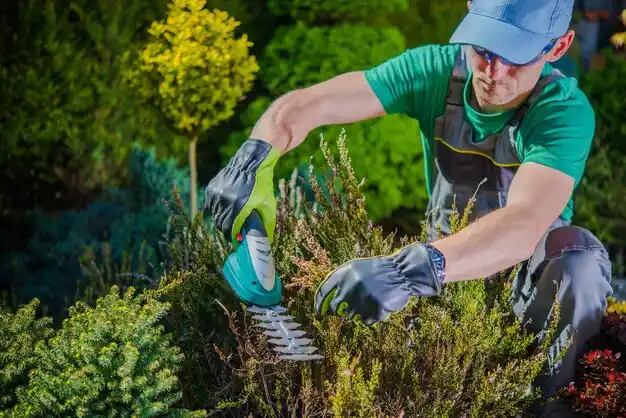 landscaping services Webb City
